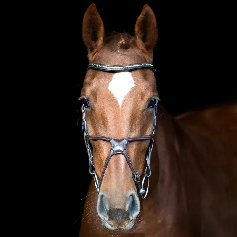 Schockemohle Rio Select Mexican Grackle Bridle - Espresso/Silver-3