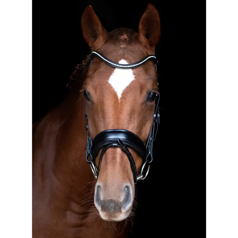 Schockemohle Stanford Anatomic Flash Bridle - Black/Silver-2