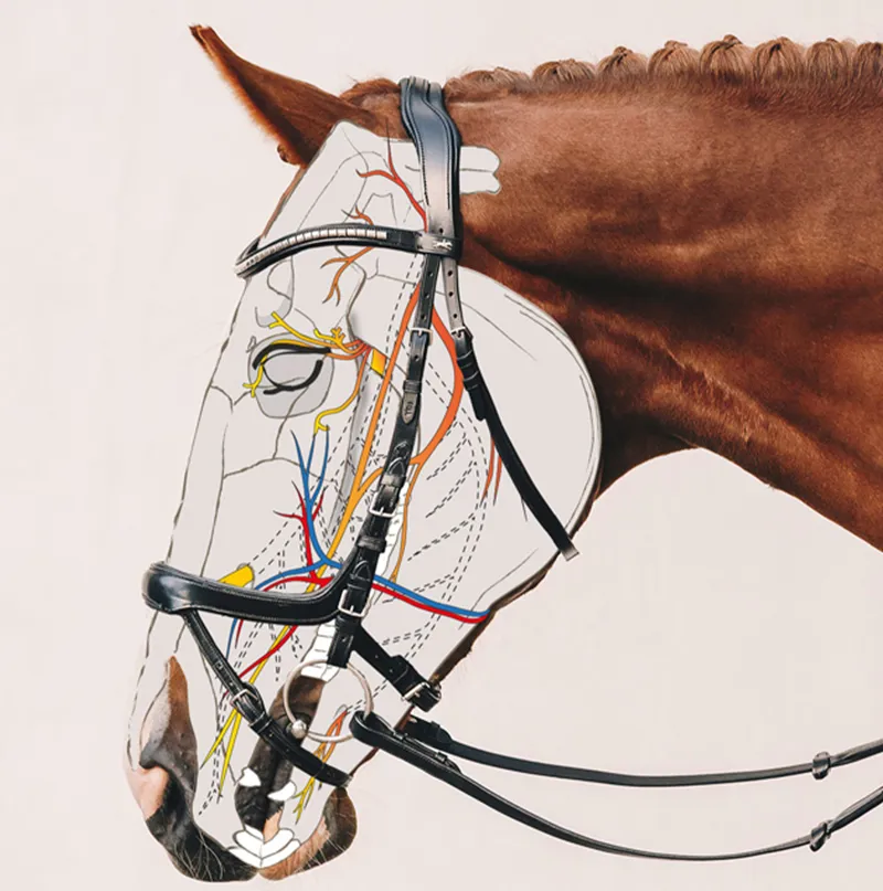 Schockemohle Equitus Gamma Double Bridle - Black/Silver-1