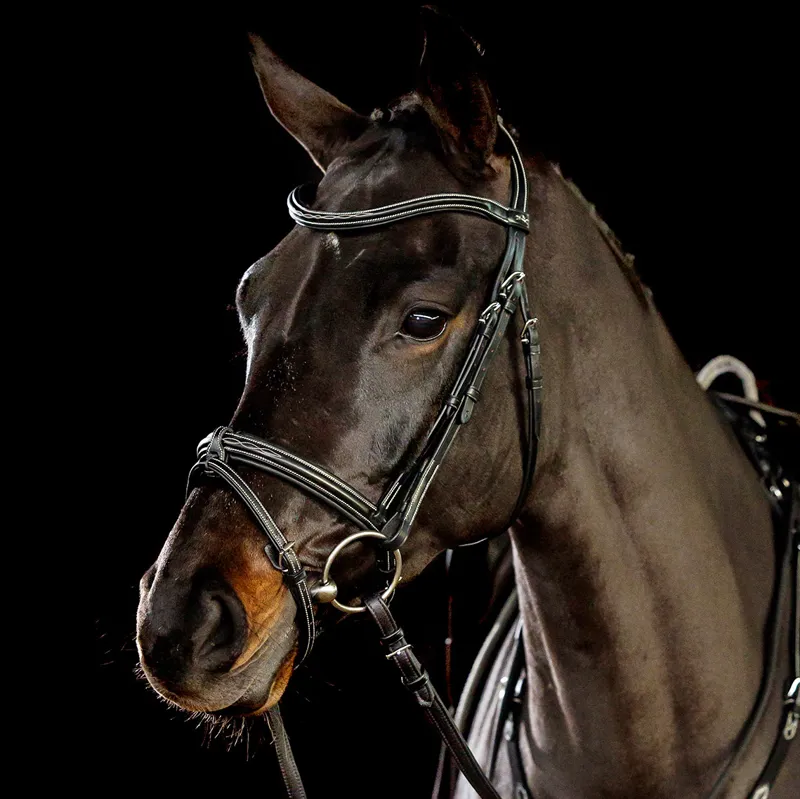 Schockemohle Tokyo F Select Removable Flash Bridle - Black/Silver-1