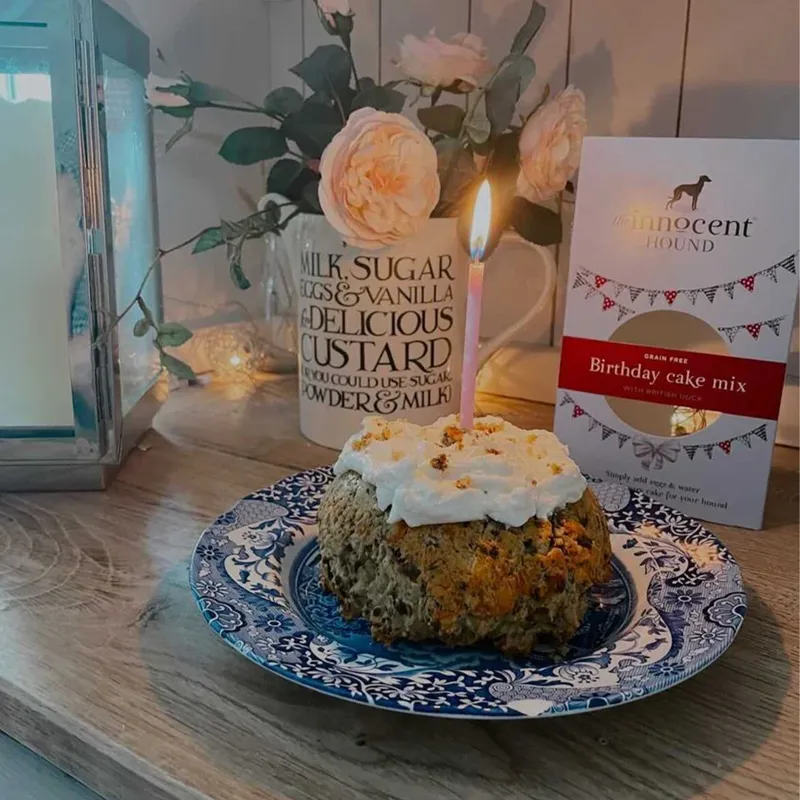 The Innocent Hound Dog Birthday Cake Mix - British Duck-2