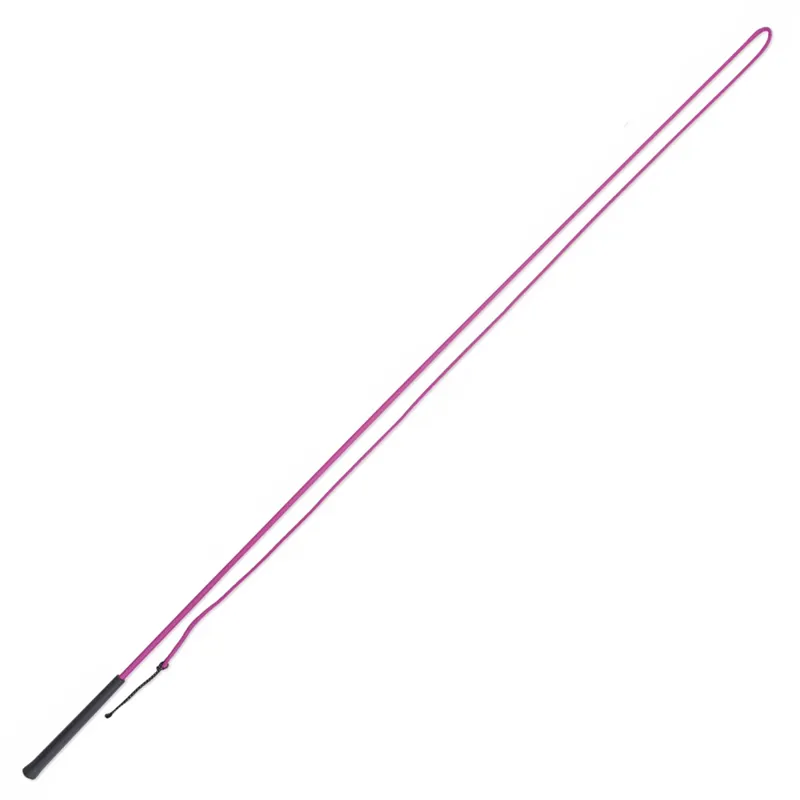 Shires Plain Lunge Whip - Raspberry