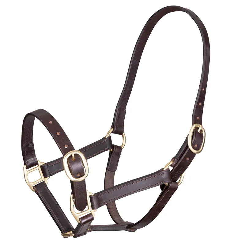 Velociti Gara Adjustable Leather Foal Headcollar - Havana