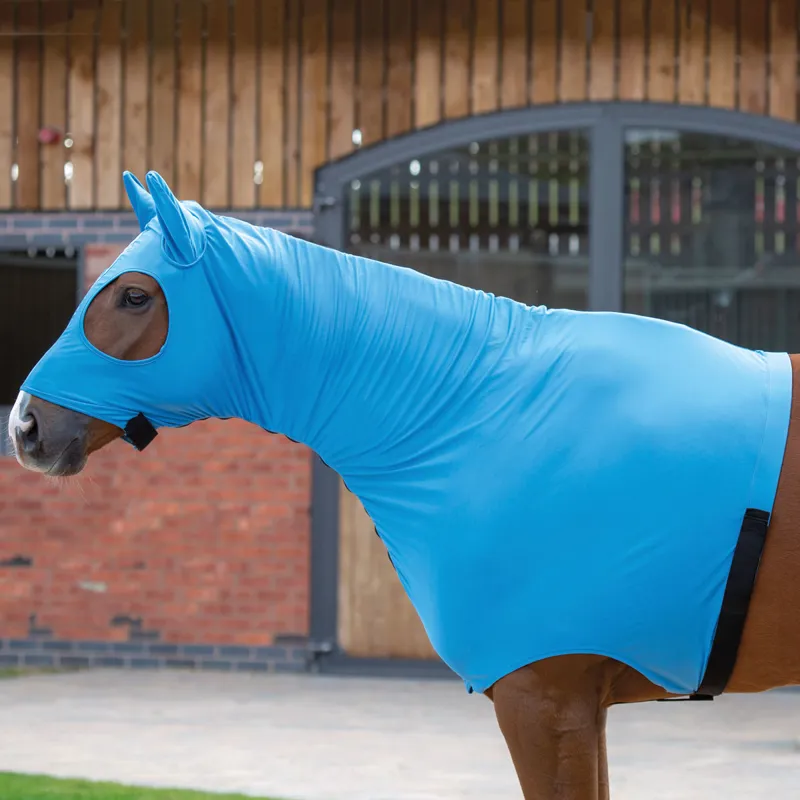 Shires Stretch Hood with Full Face and Ears - Blue
