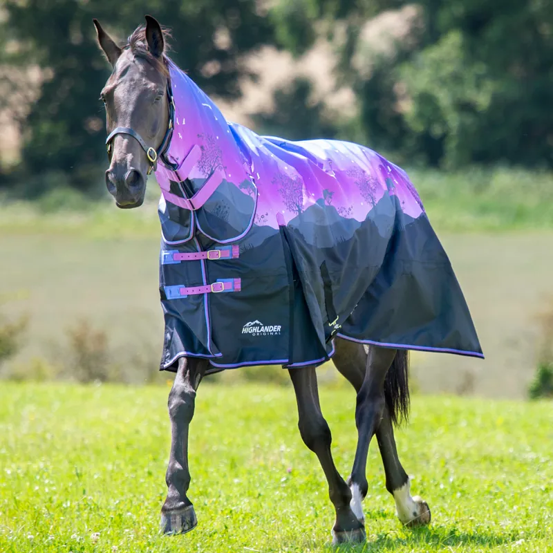 Shires Highlander Original 100g Combo Turnout Rug Spring Morning