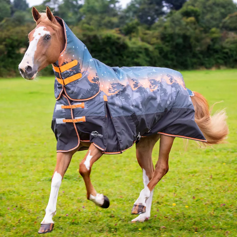 Shires Highlander Original 200g Combo Neck Turnout Rug Winter Sun