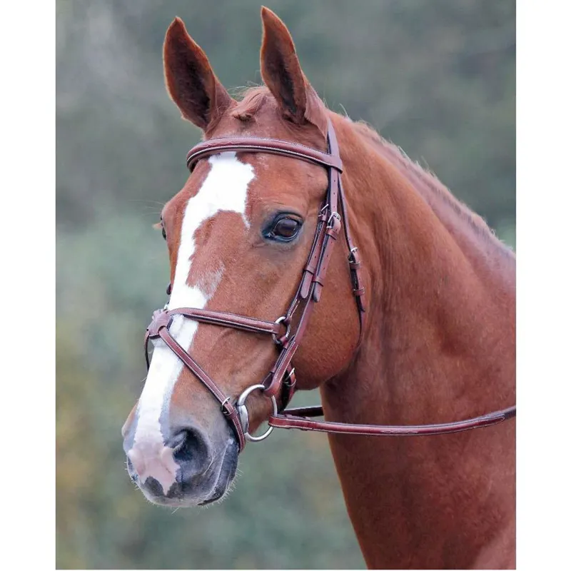... Shires Avignon Grackle Bridle raised and lined browband noseband and reins