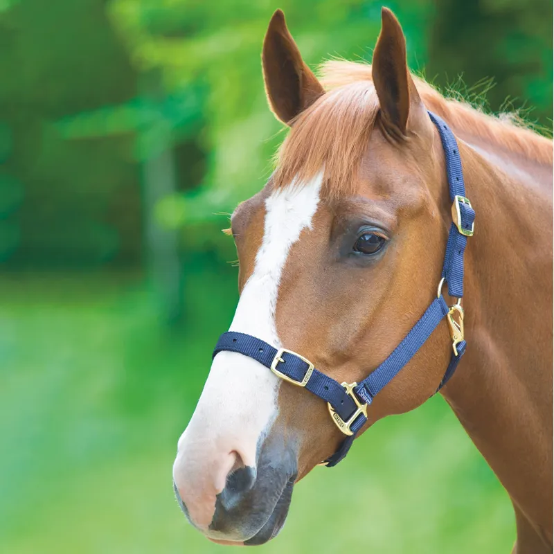 Shires Adjustable Headcollar - Navy