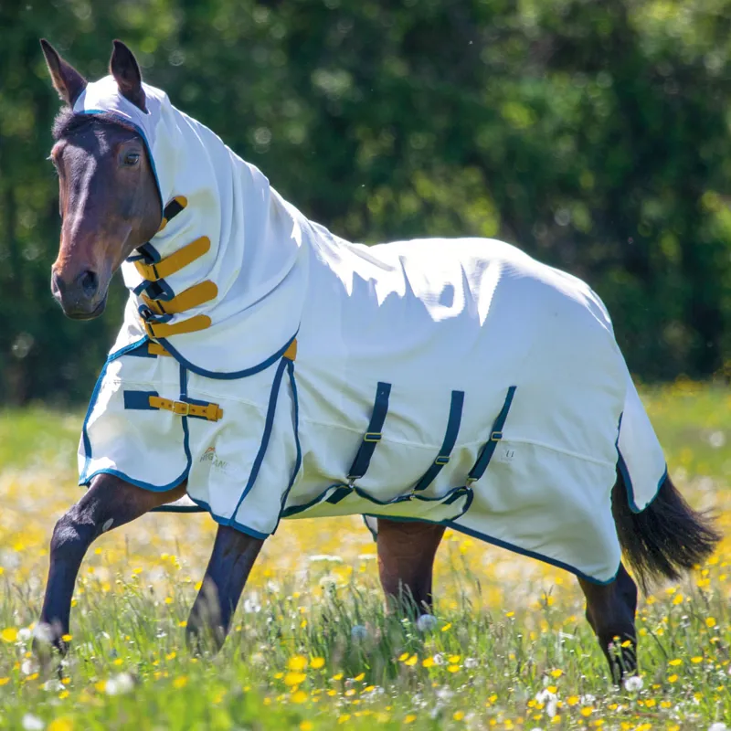 Shires Highlander Sweet Itch Rug Shires Highlander Plus Sweet-Itch Combo Fly Rug - White - Redpost