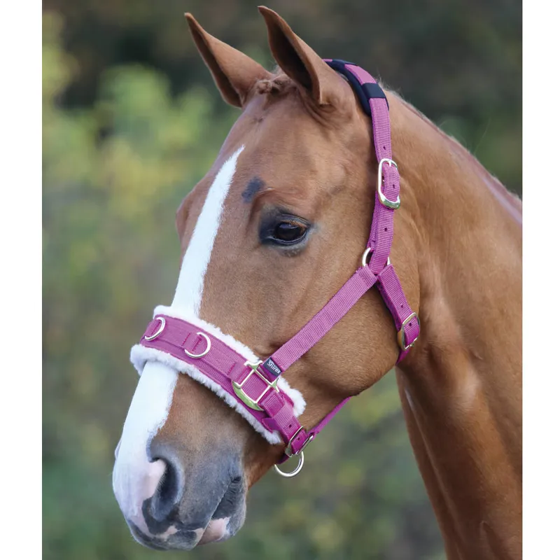 Licence De Longe Shires Polaire Doublée - Rose Et Noir, Avec Ligne De Longe Incluse