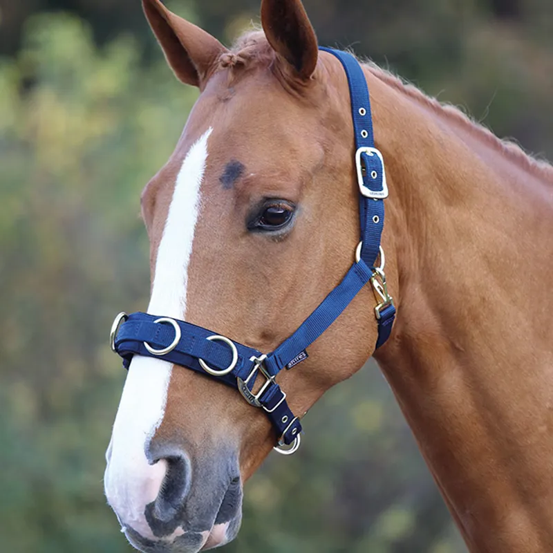 Shires Lunge Cavesson Navy