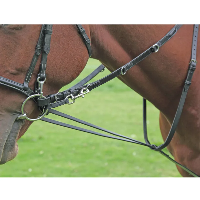 Shires Blenheim Market Harborough with Continental Reins Brown