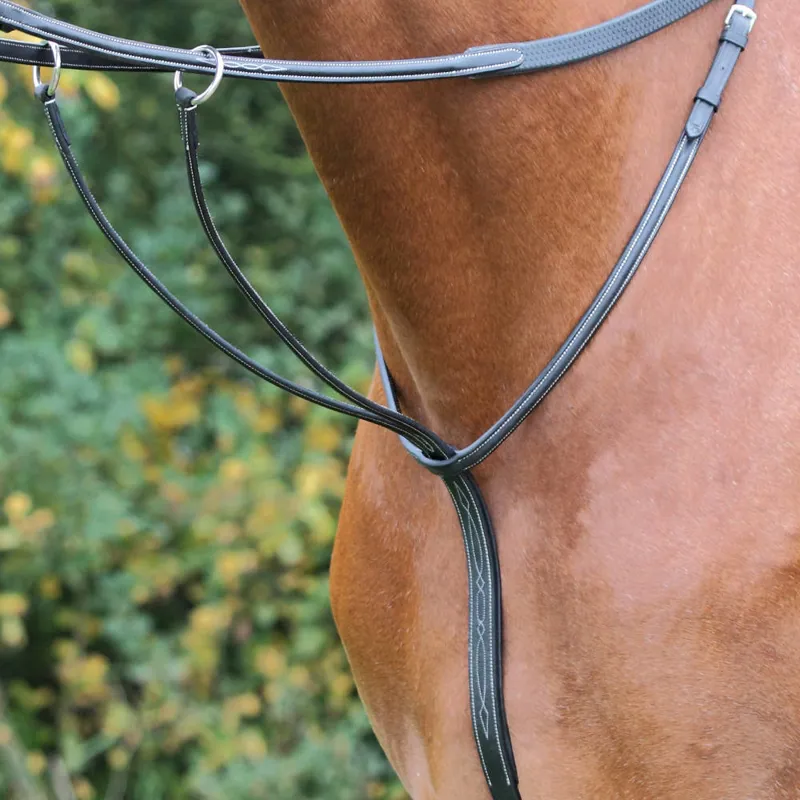 Shires Avignon Running Martingale Black Pre Season