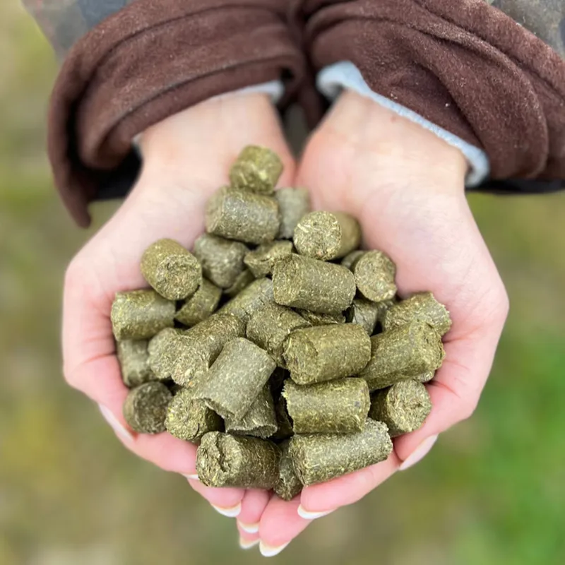 Silvermoor Treatsies Eco Horse Treats-1