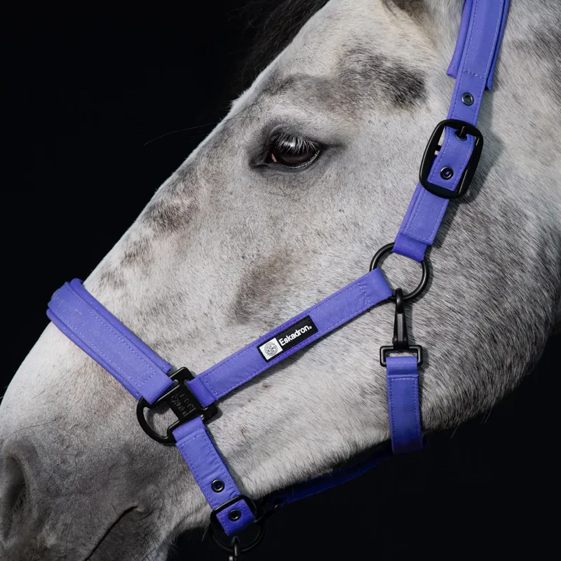 Eskadron Dynamic Sparkle Headcollar - Purple-1