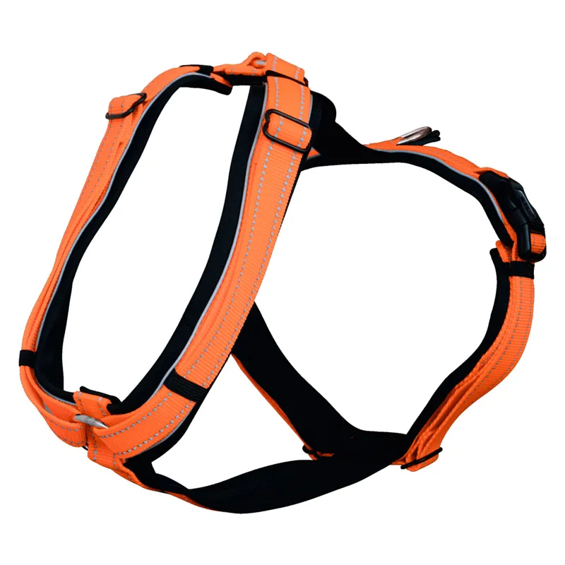 Sprenger Foal Harness - Orange-2
