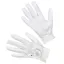 Samshield V-Skin Swarovski Riding Gloves - White