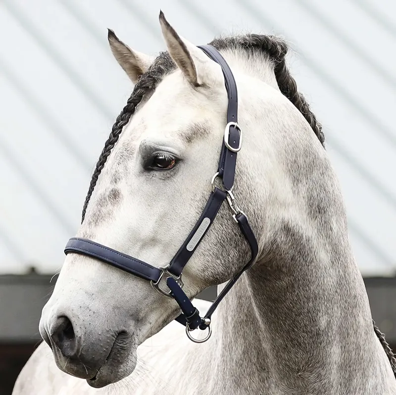 Equilibrium Stellar All-Weather Safety Headcollar - Navy