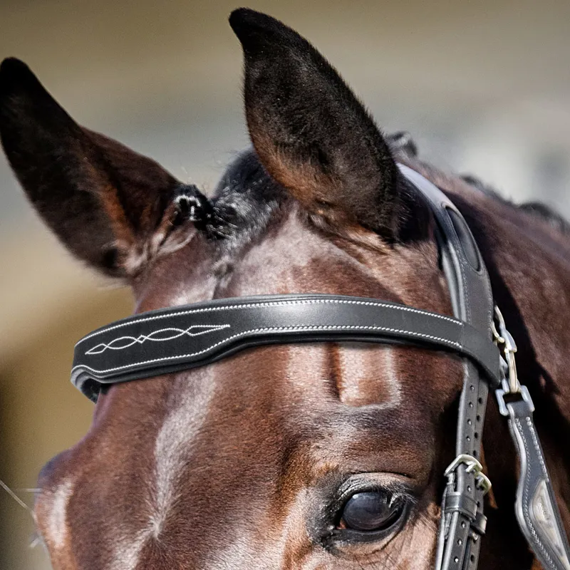 Equiline BB0418 Shaped Browband with Stitching - Black-1
