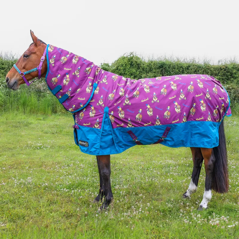 StormX Original 200g Combo Neck Turnout Rug - Thelwell Pony Friends