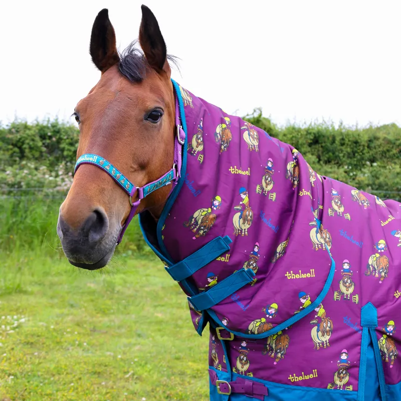 StormX Original 200g Combo Neck Turnout Rug - Thelwell Pony Friends-1