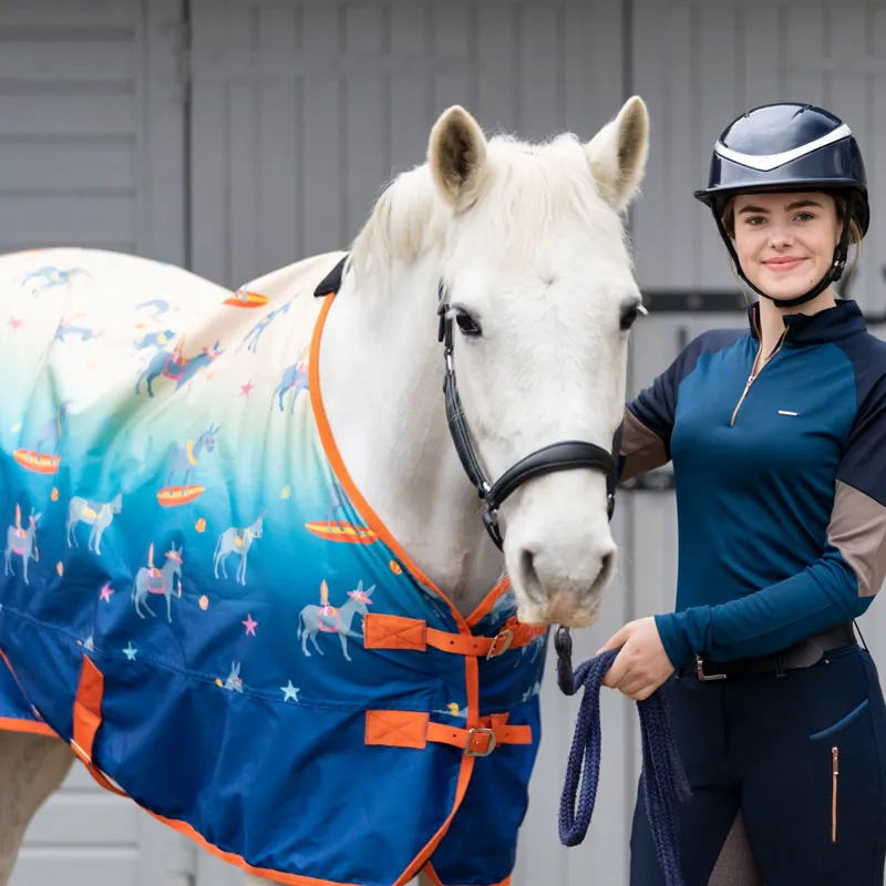 stormx-original-50g-turnout-rug-seaside-donkey-sea-blue-sunset