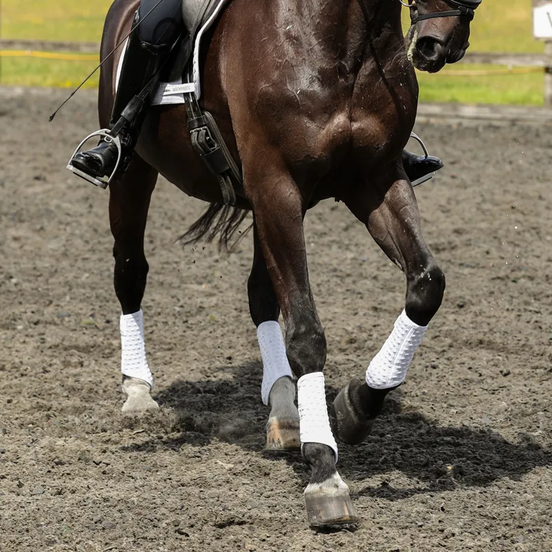 Equilibrium Stretch and Flex Flatwork Wraps - White-4