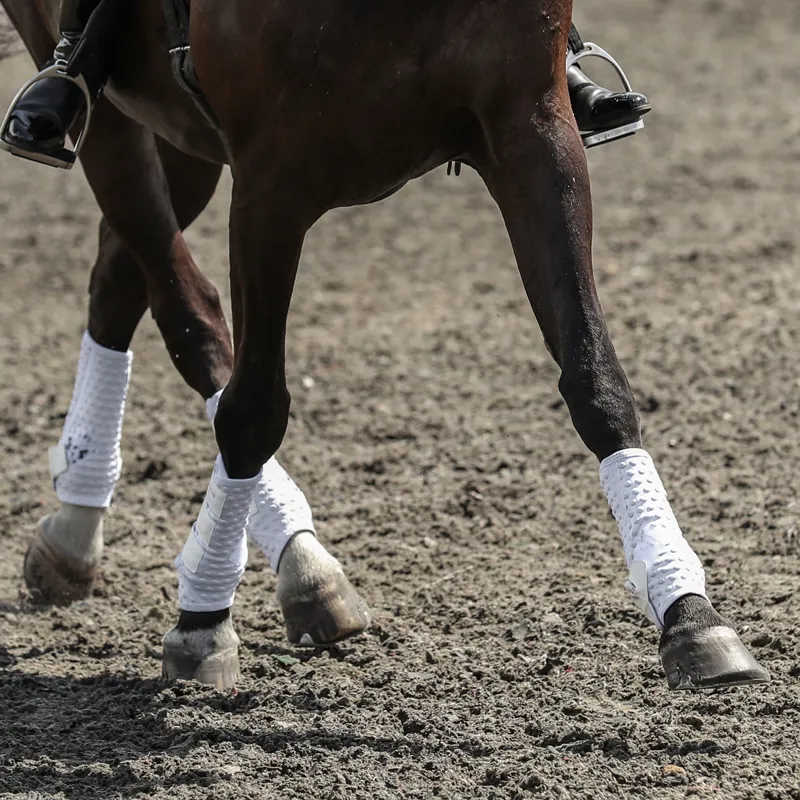 Equilibrium Stretch and Flex Training Wraps - White-5