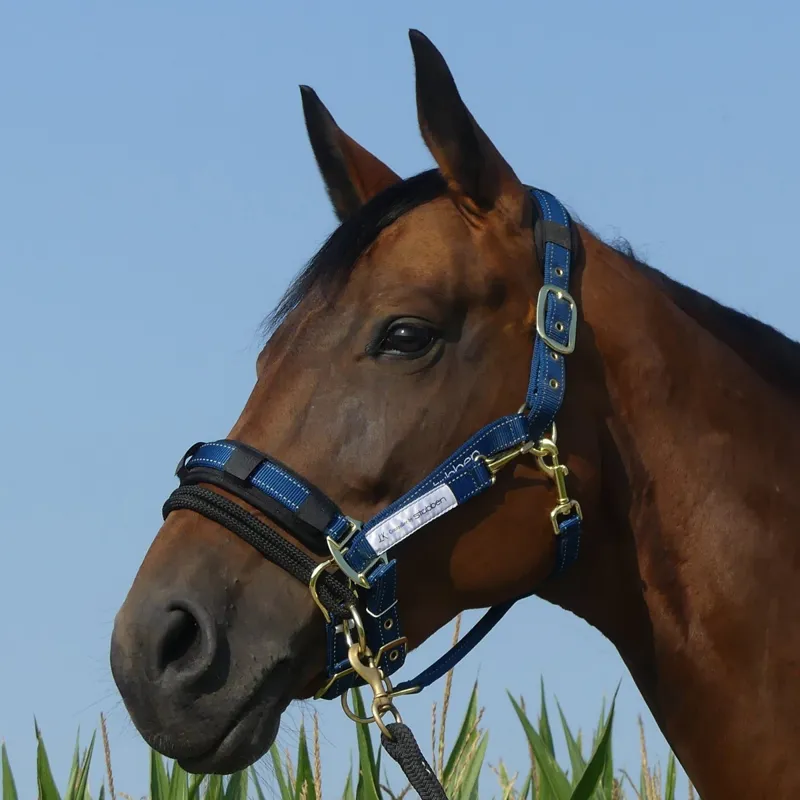 Stubben LK Controller Headcollar Attachment-1