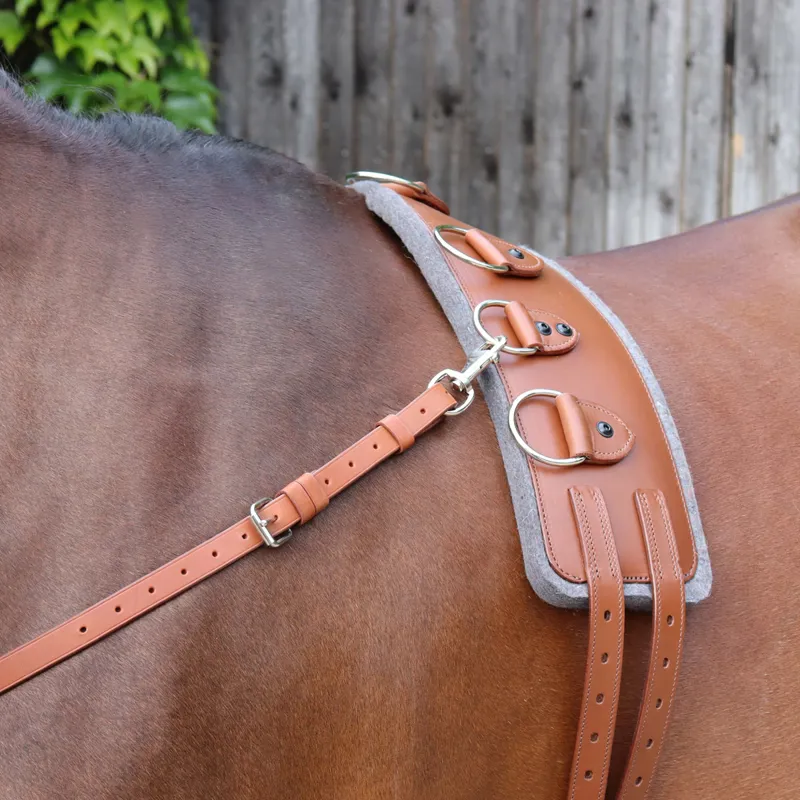 Stubben AKA Leather Lunge Roller Surcingle - Tobacco-2