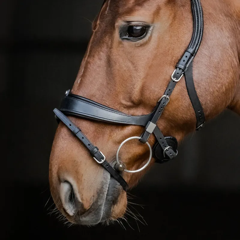 Stubben Freedom II 2505 Bridle - Black - TRIAL-1