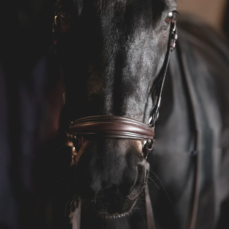 Stubben Leitrim Slide/Lock Drop 2305 Bridle - Ebony Brown-1