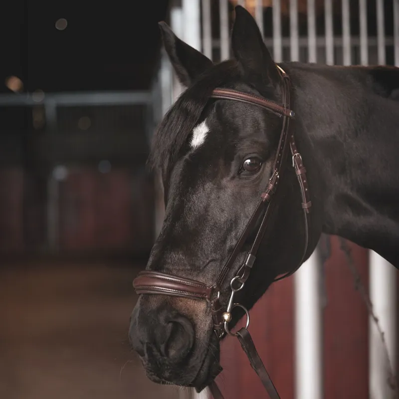 Stubben Leitrim Slide/Lock Drop 2305 Bridle - Ebony Brown-2