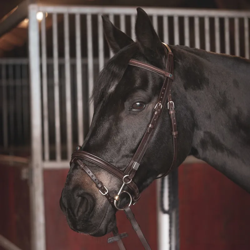 Stubben Leitrim Slide/Lock Flash 2305 Bridle - Ebony Brown-2
