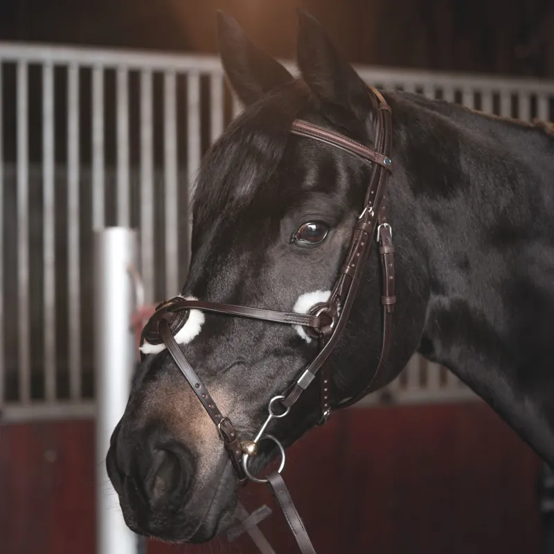 Stubben Leitrim Slide/Lock Mexican 2305 Bridle - Ebony Brown-1