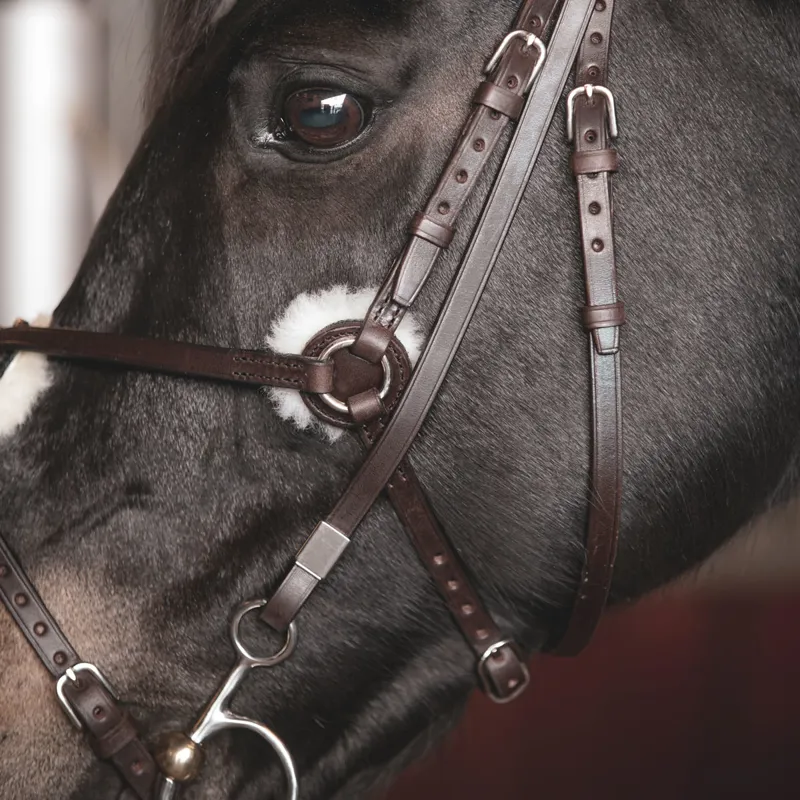 Stubben Leitrim Slide/Lock Mexican 2305 Bridle - Ebony Brown-2