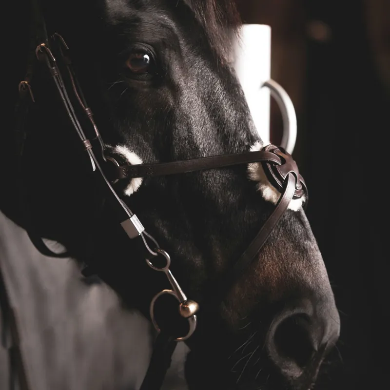 Stubben Leitrim Slide/Lock Mexican 2305 Bridle - Ebony Brown-3