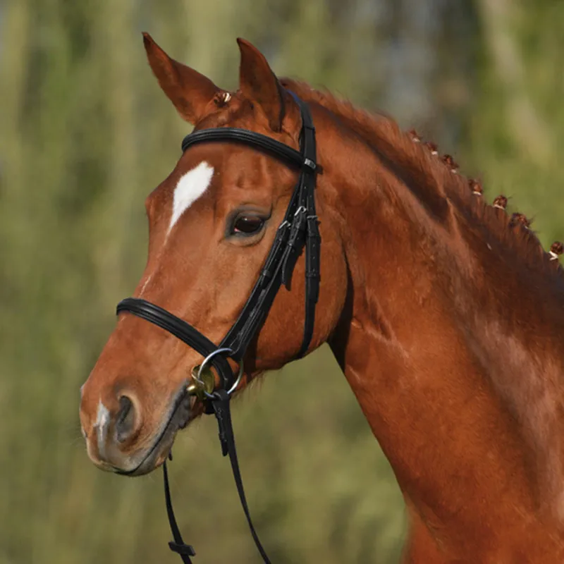 Stubben Leitrim Snaffle Bridle with Cavesson Noseband Black