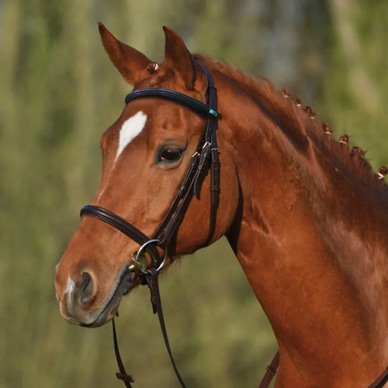 Stubben Leitrim Snaffle Bridle with Cavesson Noseband Black Redpost