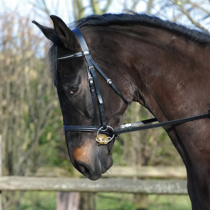 Stubben Golden Wings 4 in 1 Loop Ring Bevel Double Jointed Lozenge Bit-1