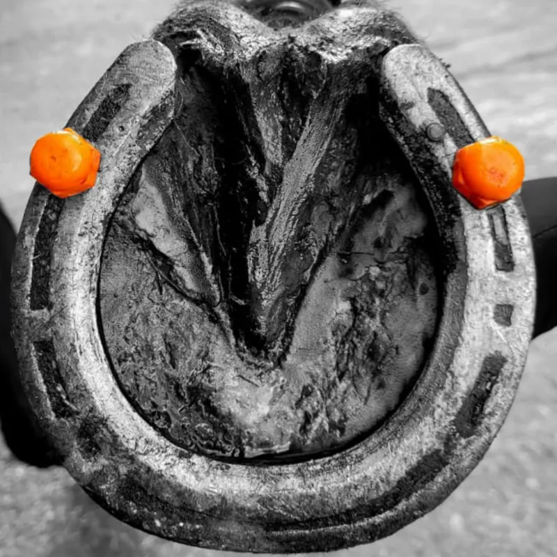 StudFast Patented Polymer Dome Studs - Orange-3