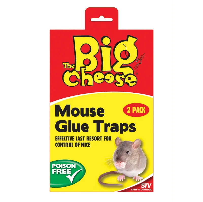 STV Big Cheese Mouse Glue Traps