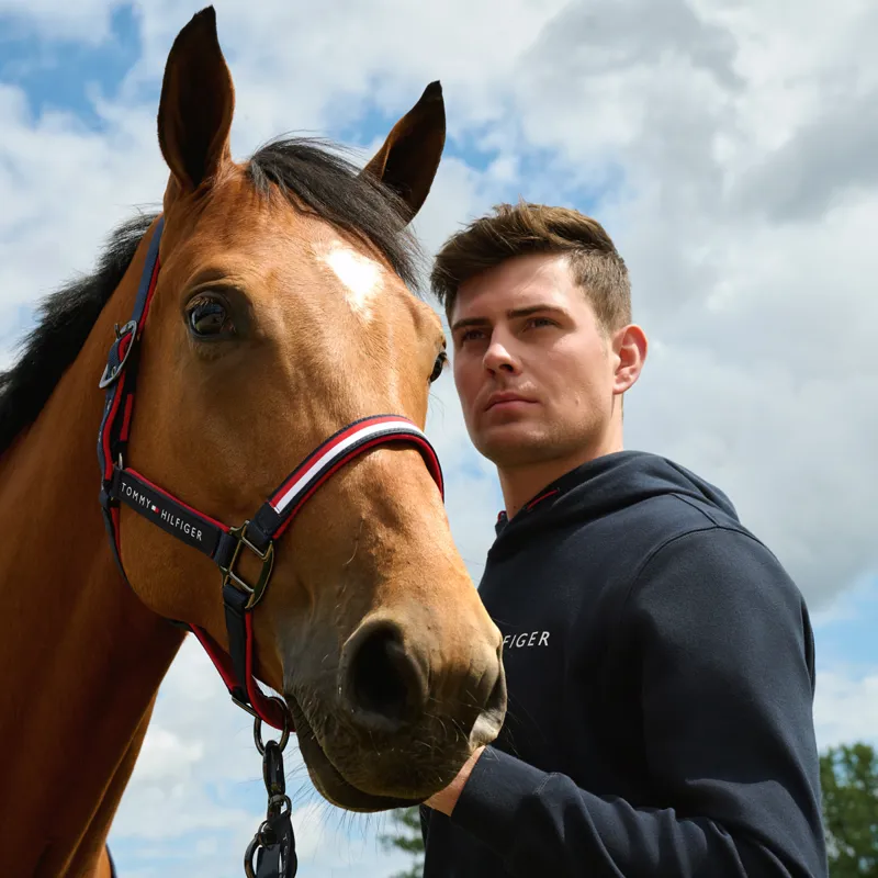 Tommy Hilfiger Williamsburg Graphic Mens Hoodie - Desert Sky-4