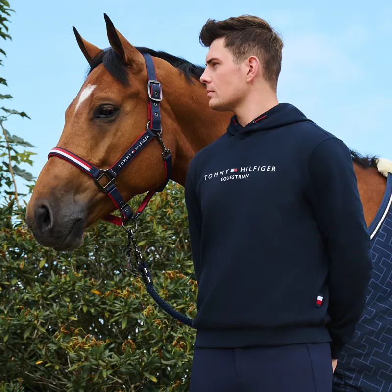 Tommy Hilfiger Williamsburg Graphic Mens Hoodie - Desert Sky-3