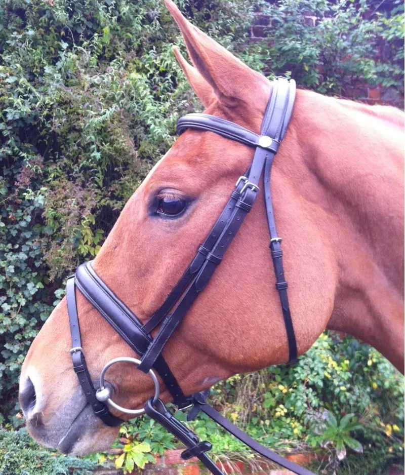 thumbnail image 2 of Silver Fox English Bridle Reins - Super Grip Rubber And Web - Choose Black Or Brown (20-9910-2-0) 2 of 5