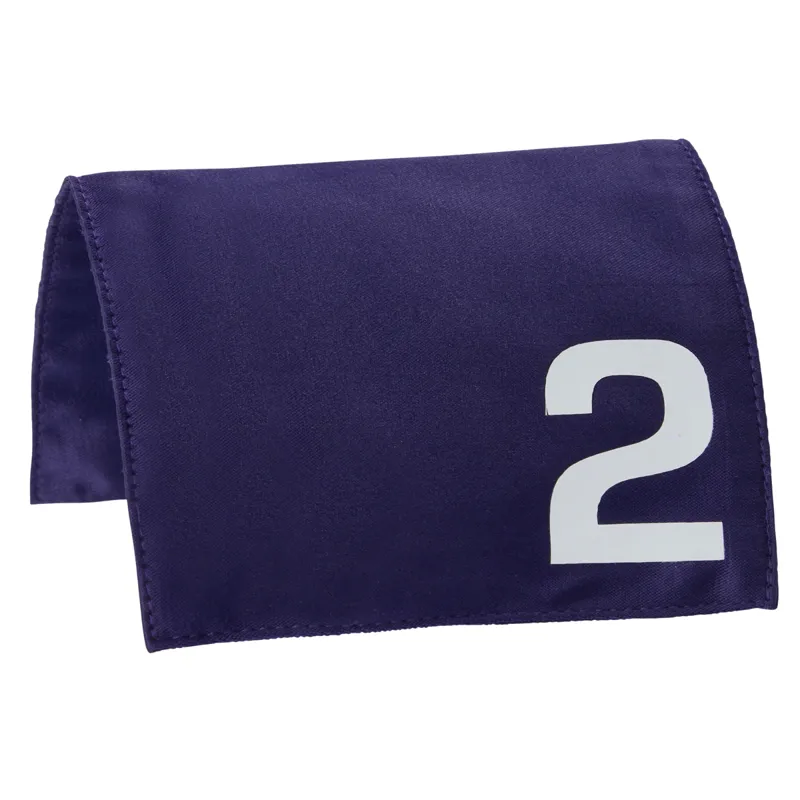 LeMieux Mini Toy Pony Racing Cloth and Mask-1