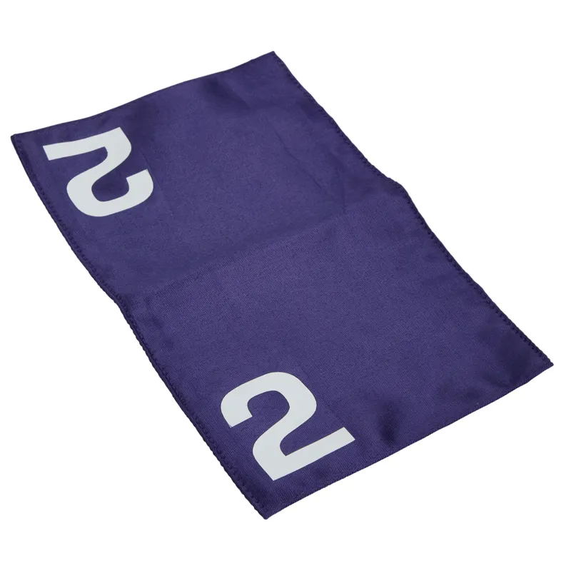 LeMieux Mini Toy Pony Racing Cloth and Mask-2