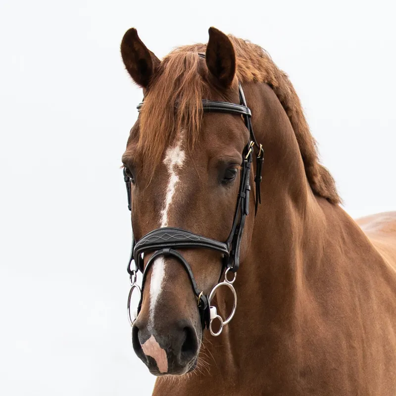 TRUST Equestrian Inno Sense Flexi Soft 2.5 Ring Bit-2