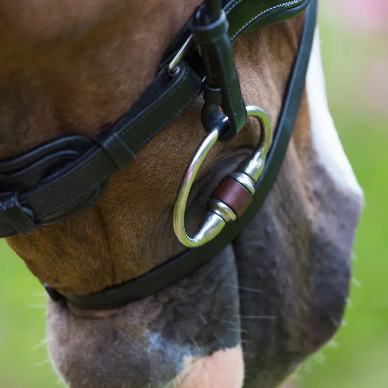 TRUST Equestrian Leather Eggbutt Bit-3