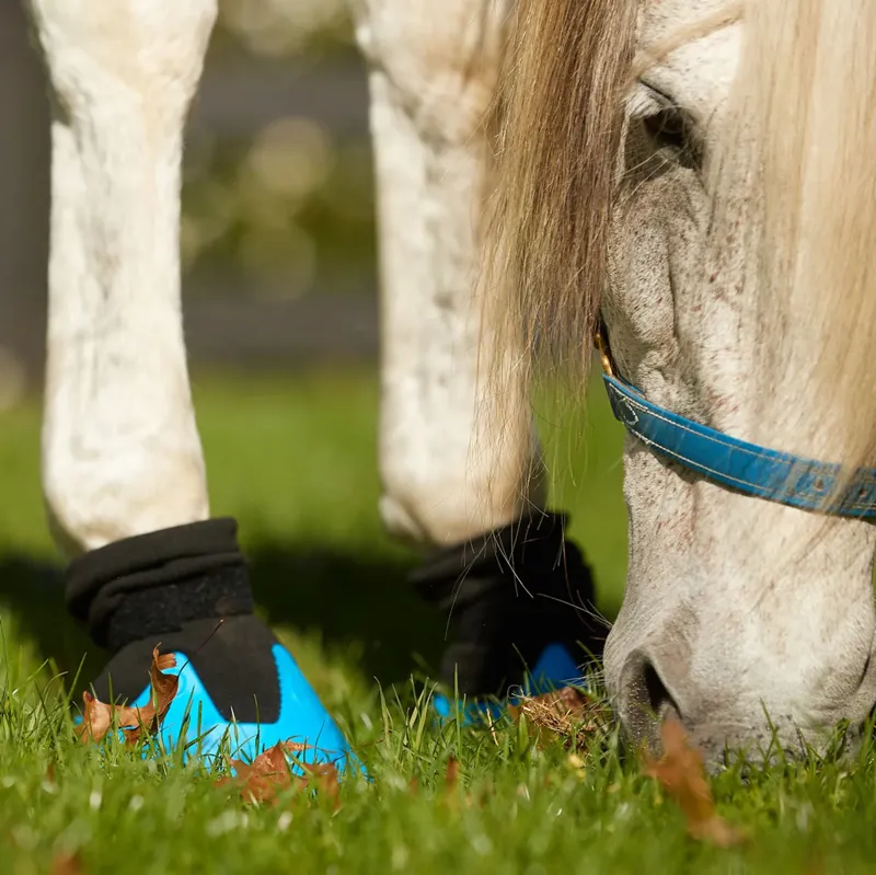 Shoof Tubbease Hoof Sock-3